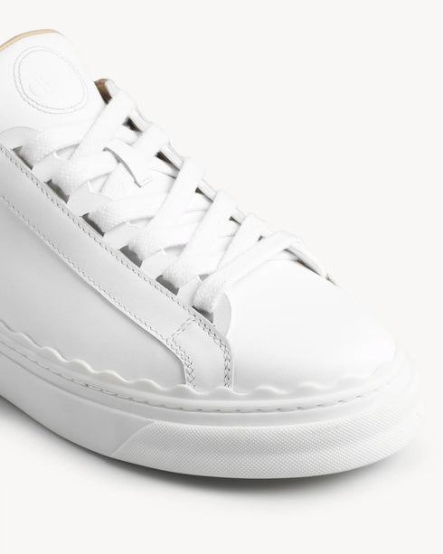 Chloe lauren sneaker white on sale